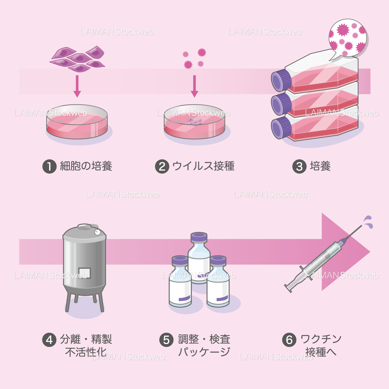 ワクチンの製造(細胞培養法)