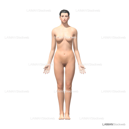 体位 (解剖学的正常位)