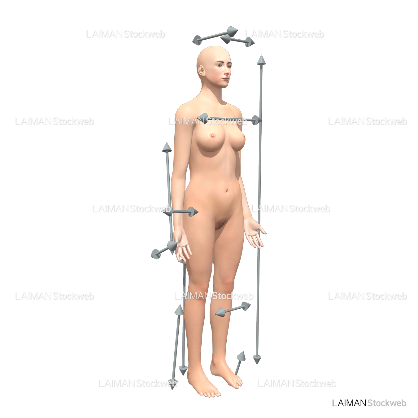 身体に対する方向(女性)
