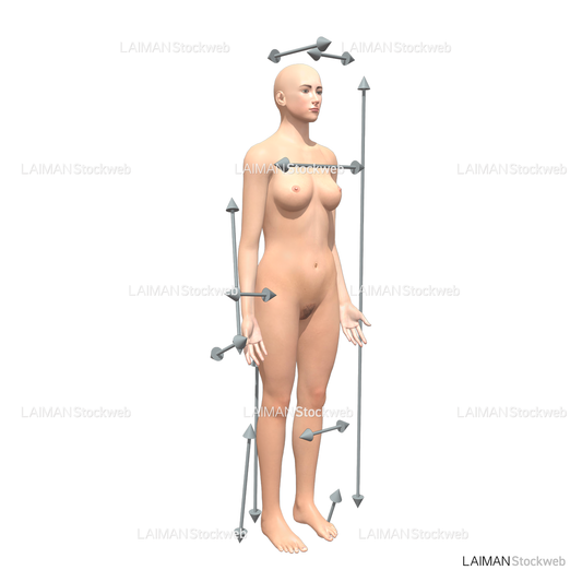 身体に対する方向(女性)