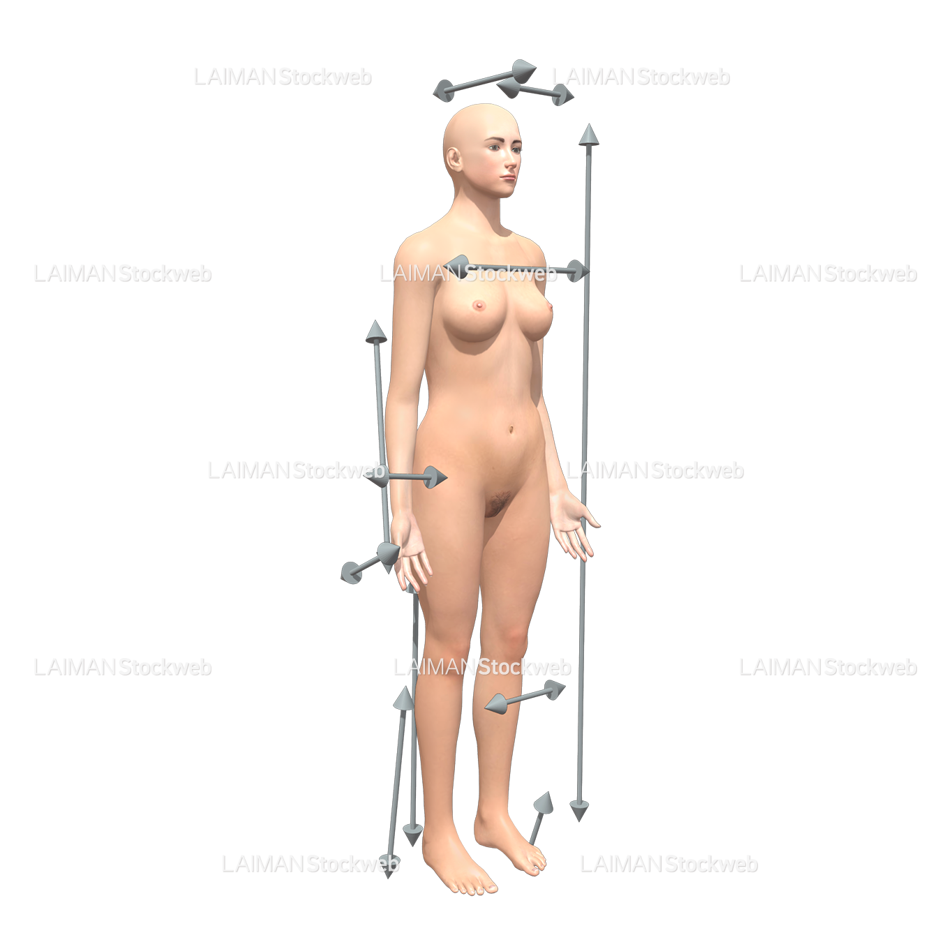 身体に対する方向(女性)