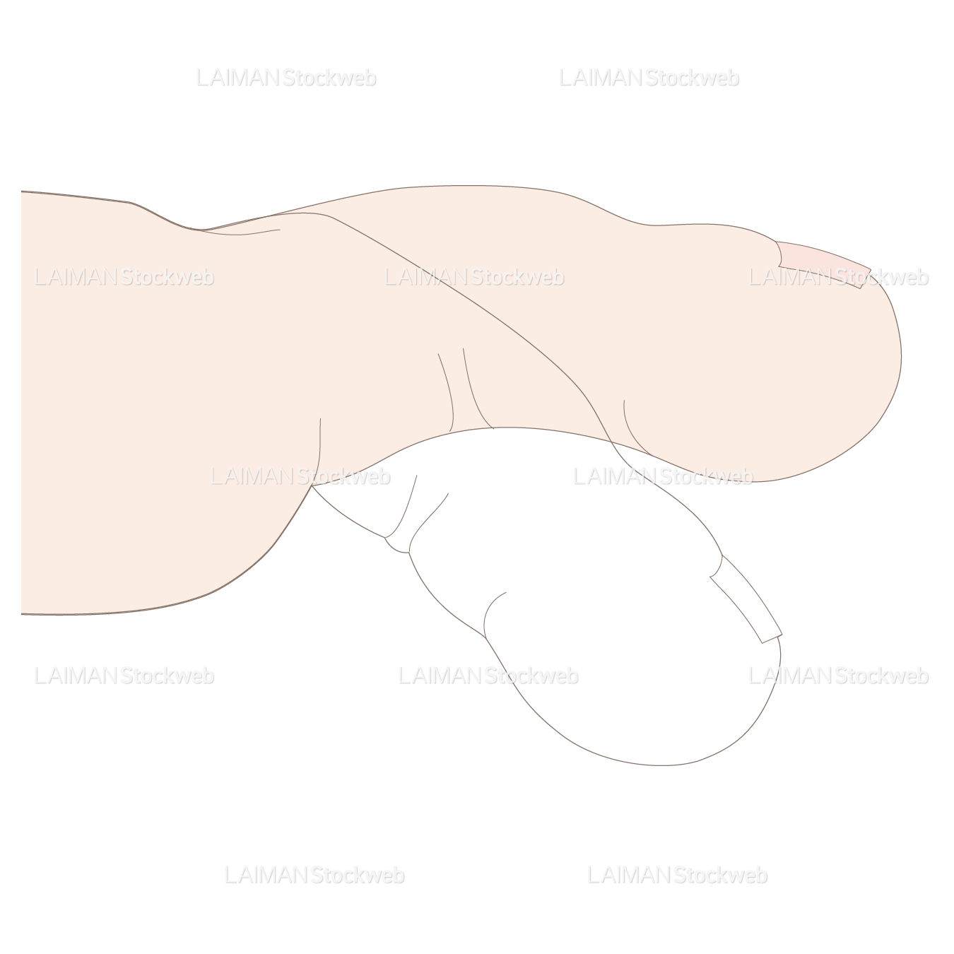 趾の伸展・屈曲(中足骨-基節骨)