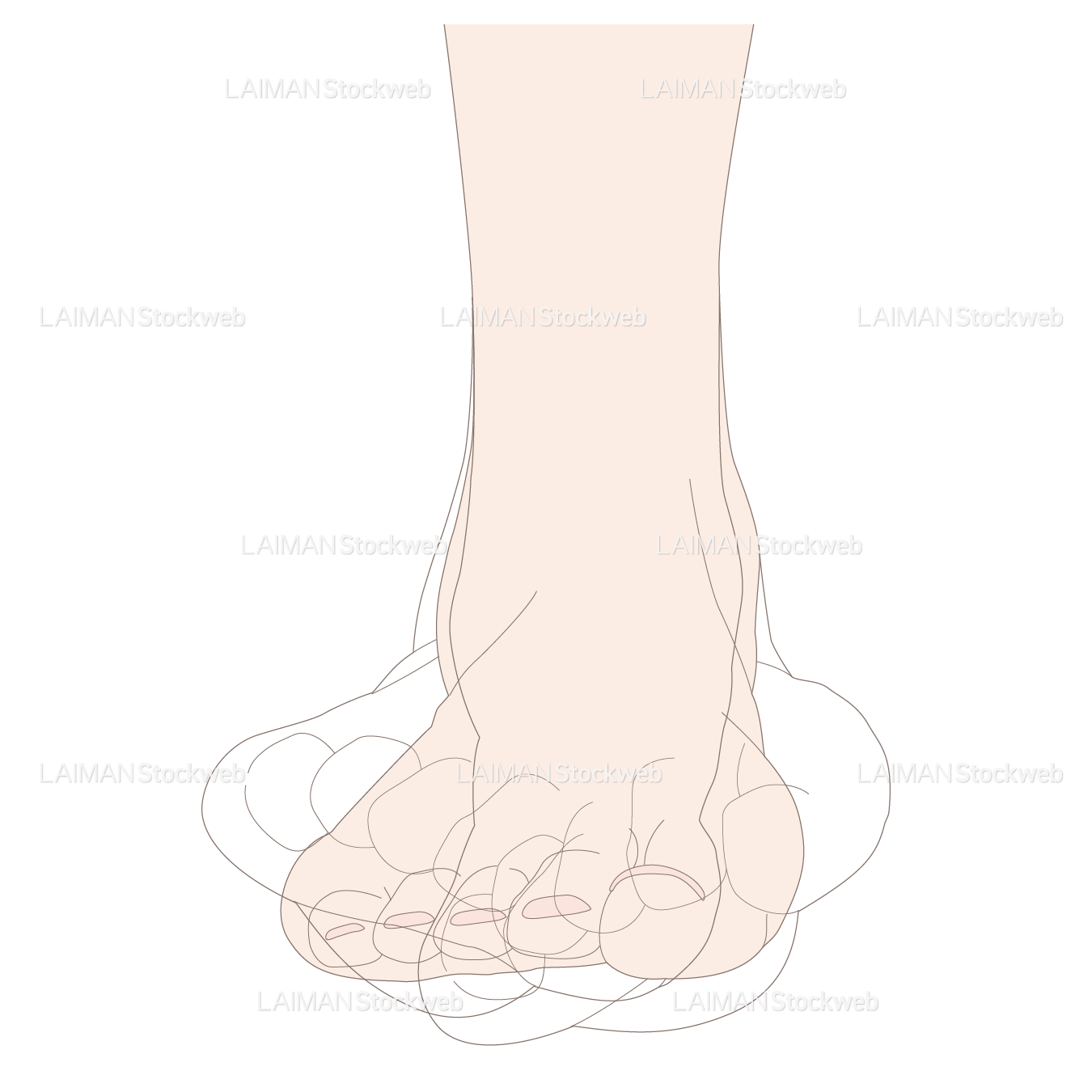 足の内がえし・外がえし(前面)