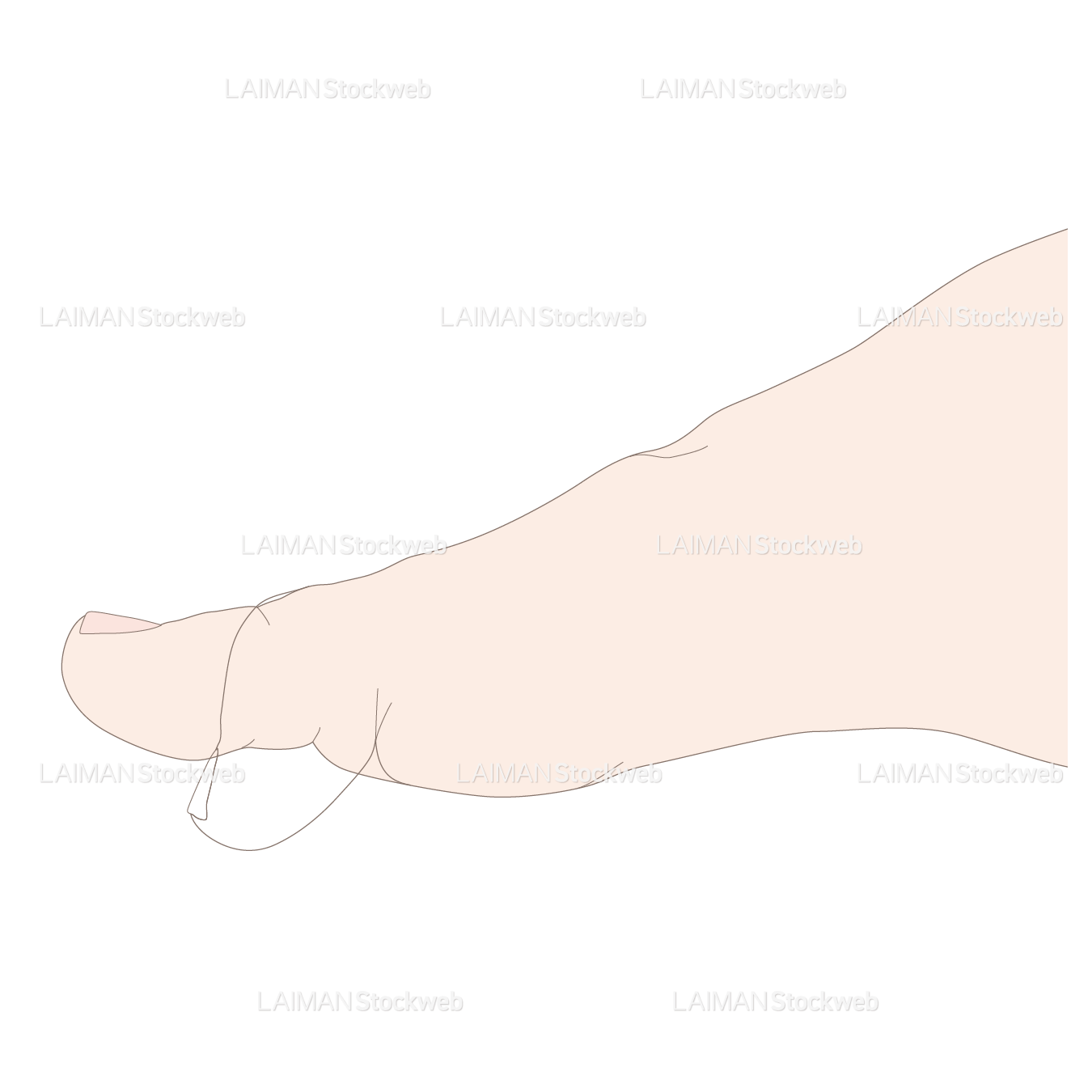 母趾の屈曲(第一関節)