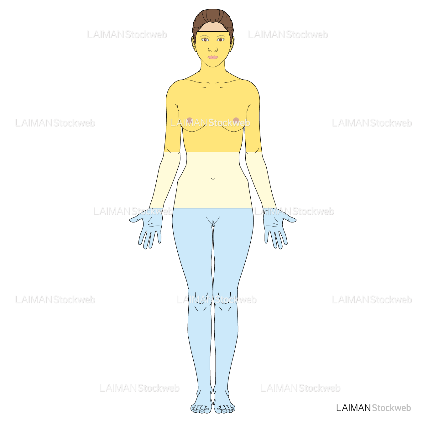 ヒトの構成物質と割合(女)
