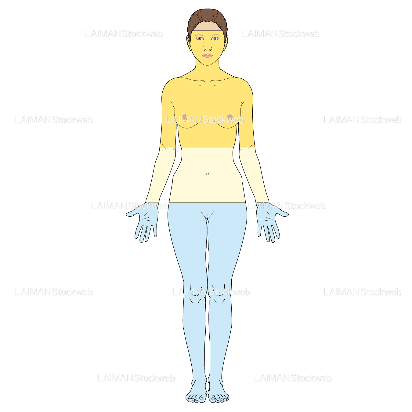 ヒトの構成物質と割合(女)