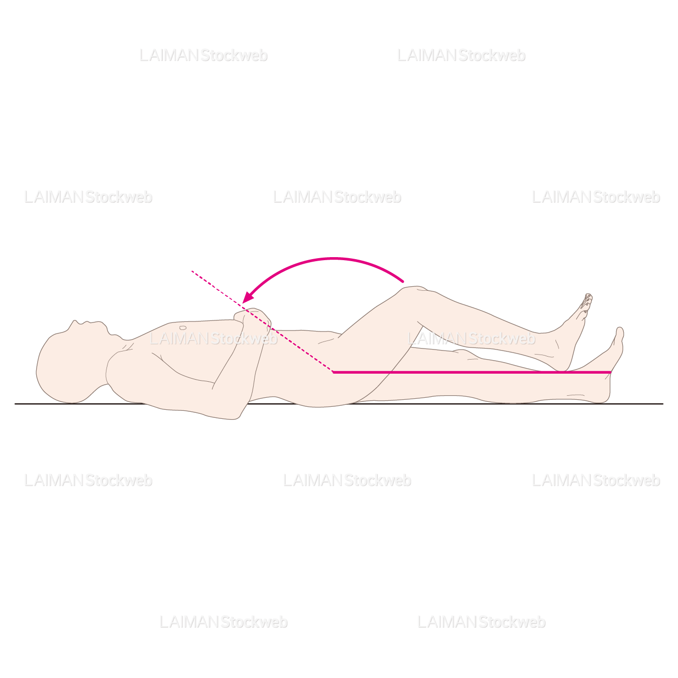 下肢(股)の屈曲