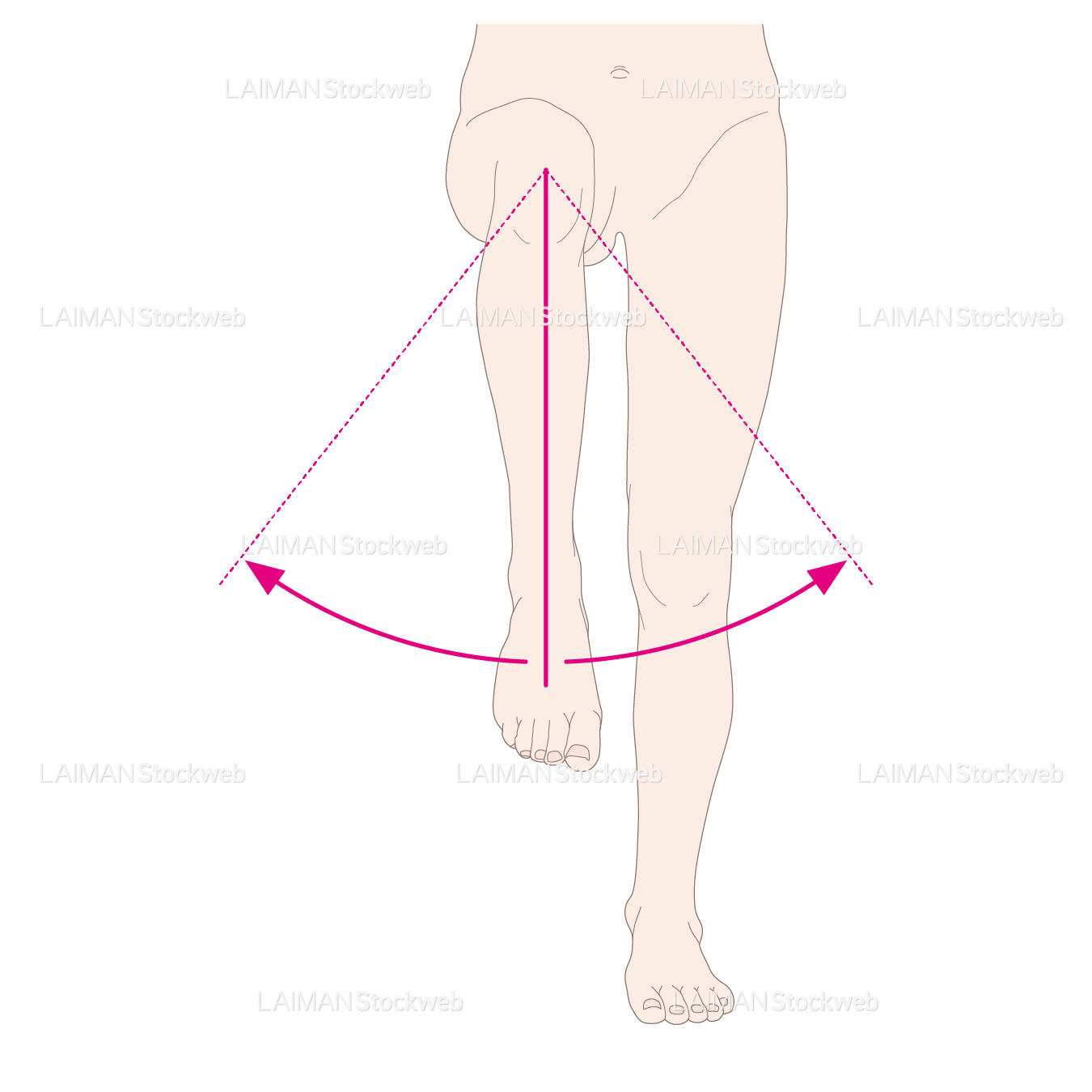 下肢(股)の外旋と内旋