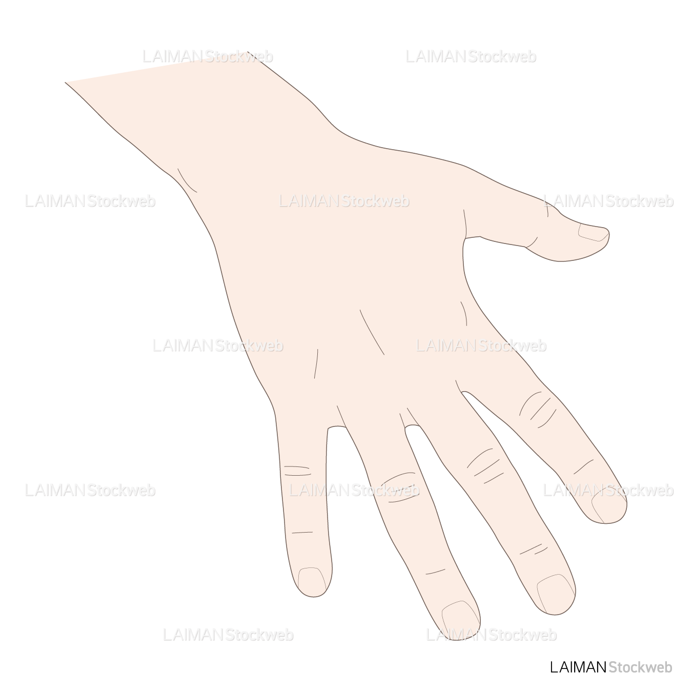 神経根障害高位診断(指:外転)