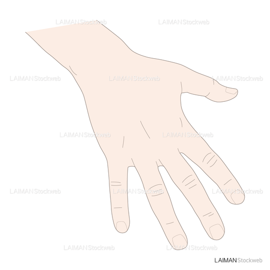 神経根障害高位診断(指:外転)