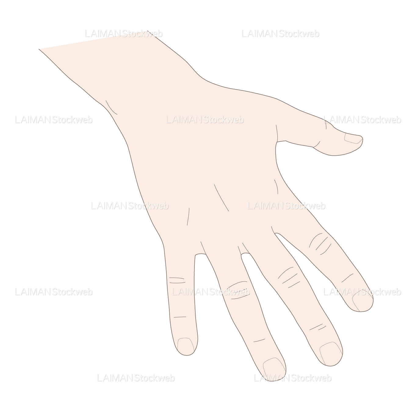 神経根障害高位診断(指:外転)