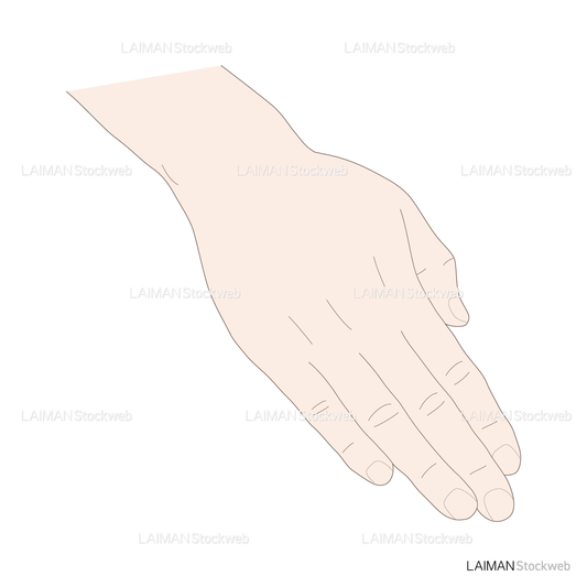 神経根障害高位診断(指:内転)