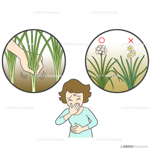 患者イラスト 食中毒(ニラと他の植物を誤食)
