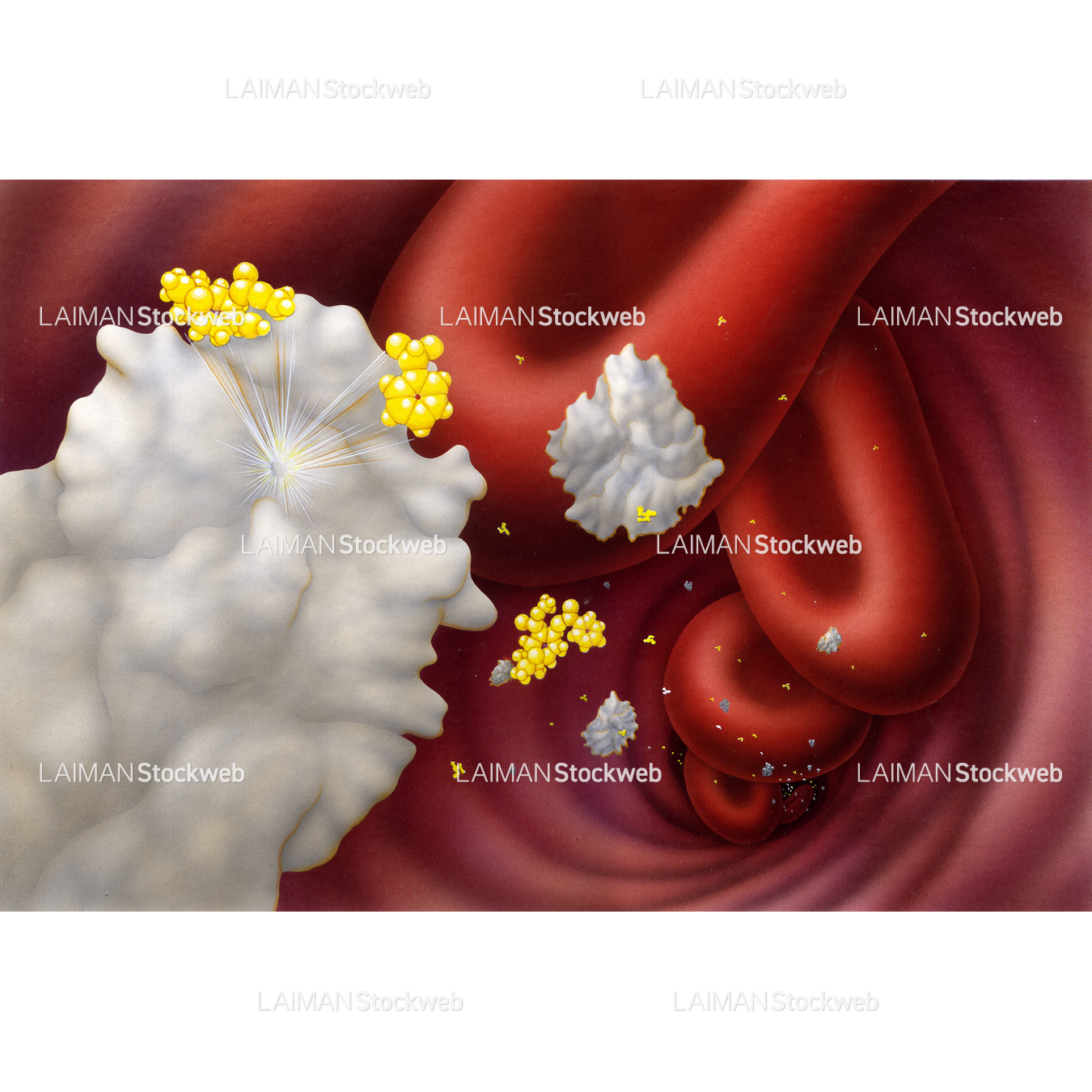 血中でコカインを分解する抗体(コカイン中毒の免疫療法)
