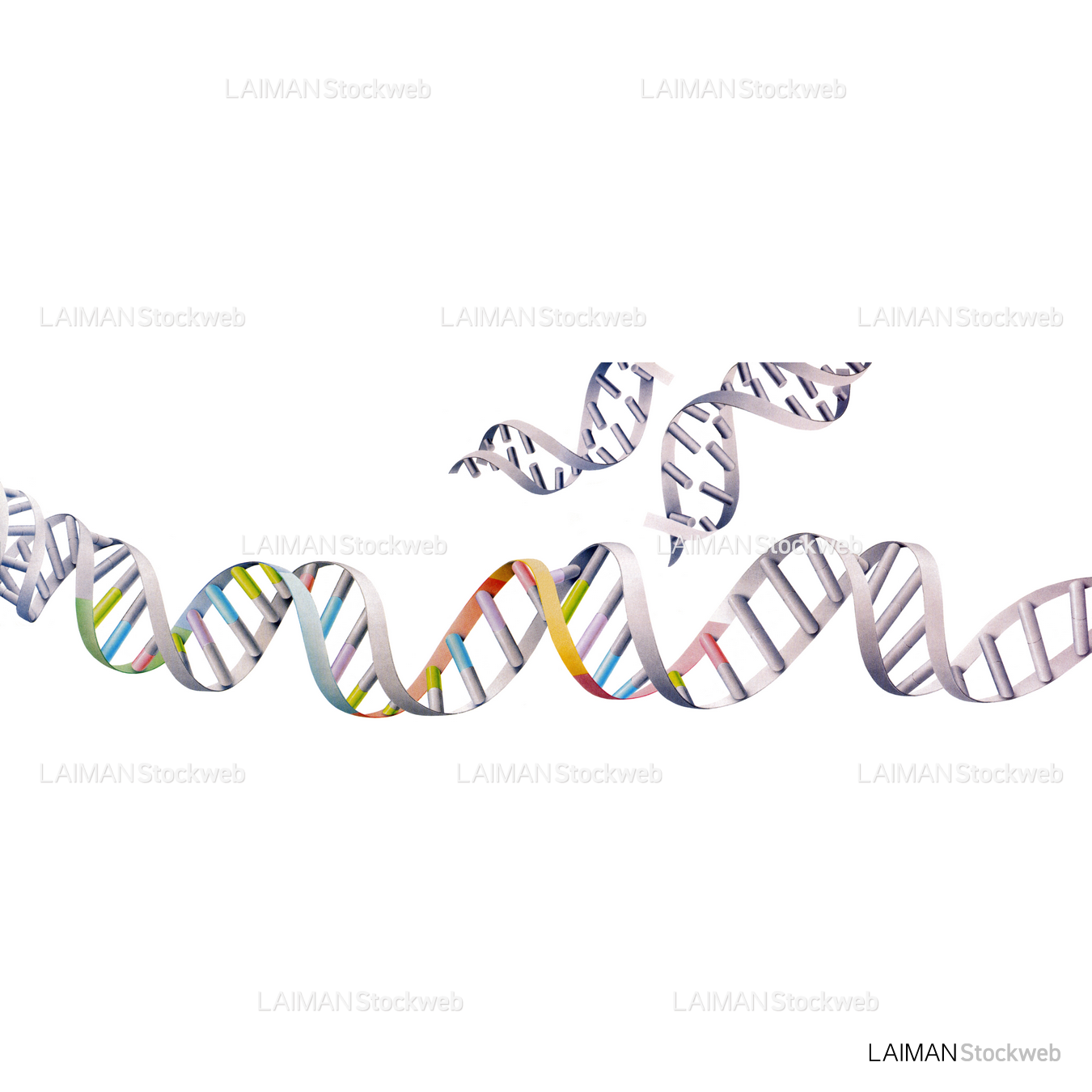 DNA