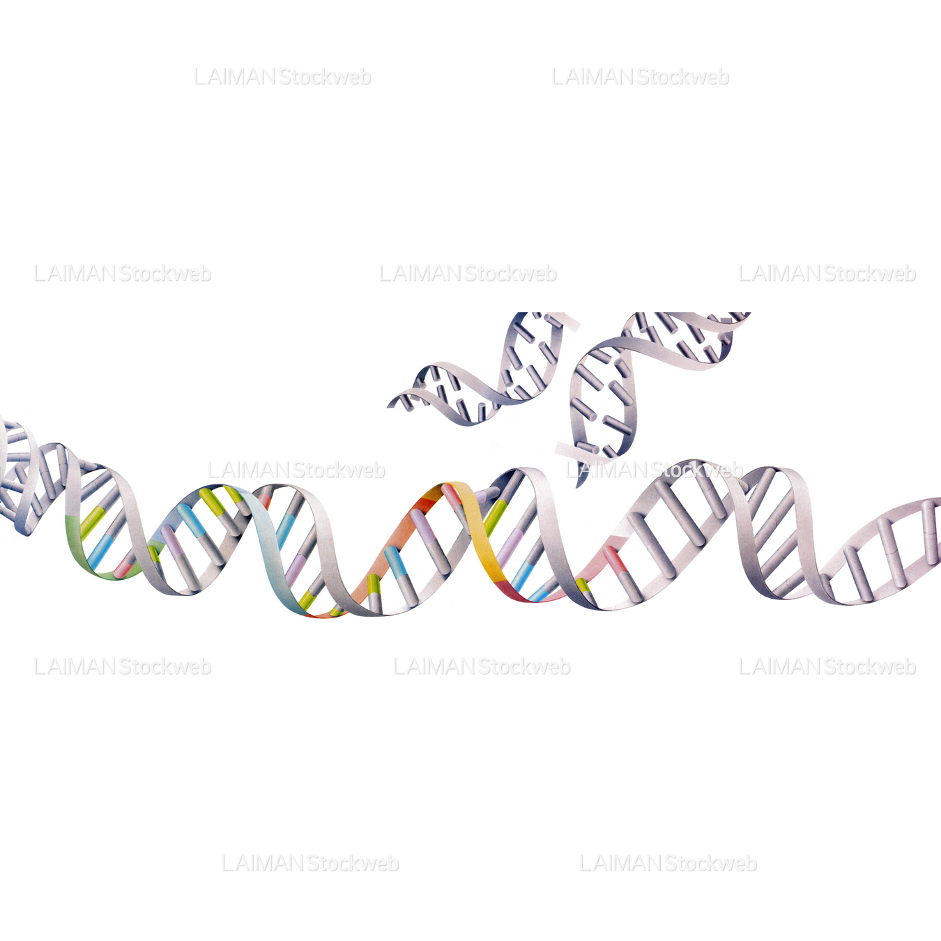 DNA