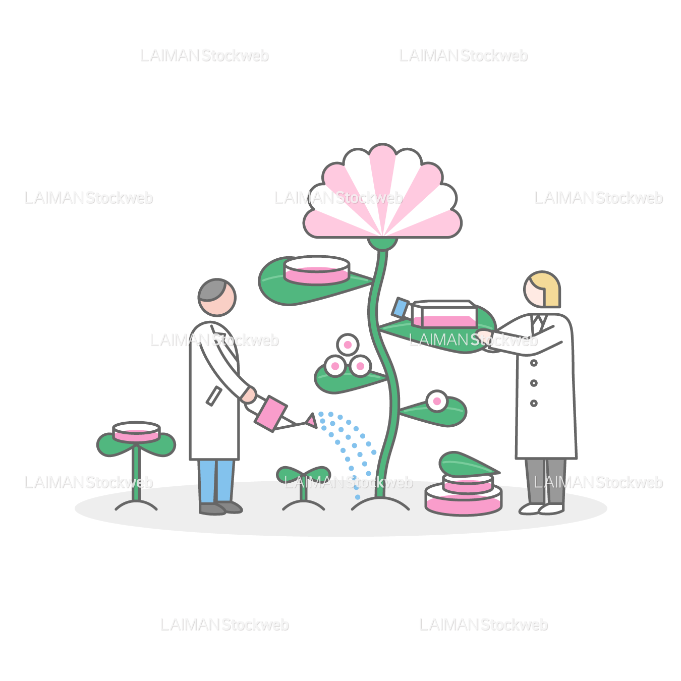 細胞療法の研究開発