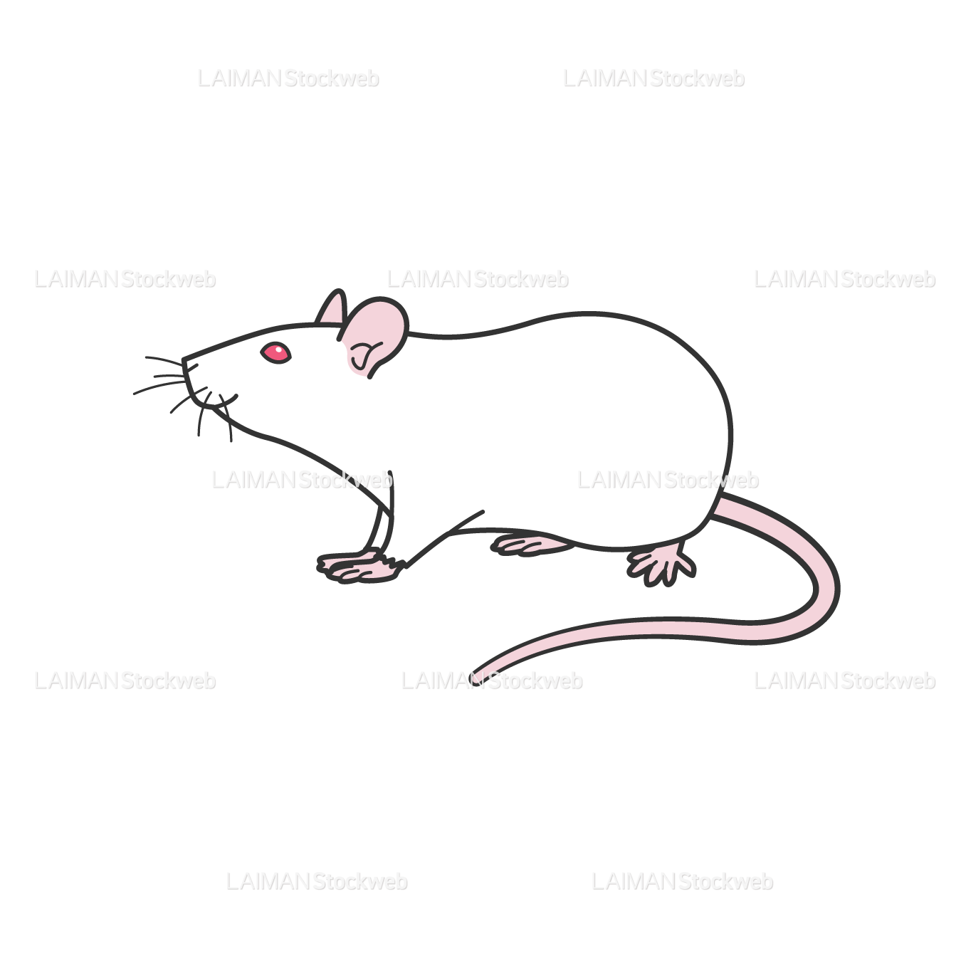 ラット(横向き2)