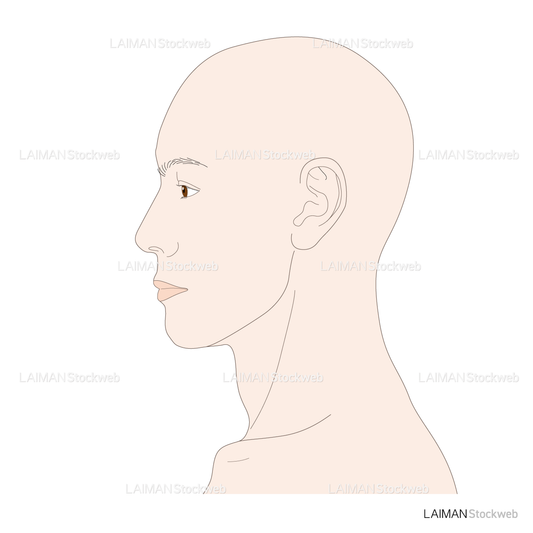 男性の頭部側面