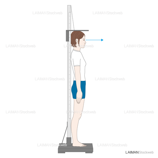 身長の測定（女子）