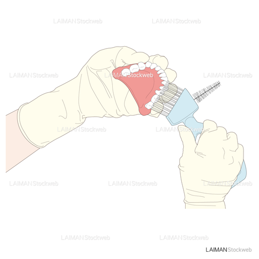 義歯の洗浄