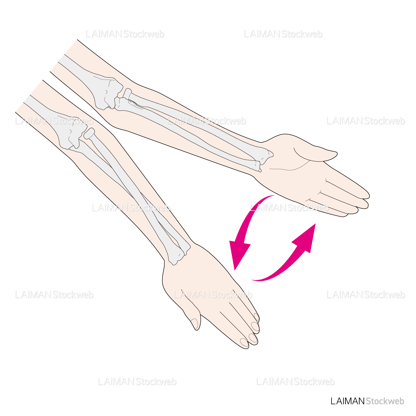 前腕の回外・回内