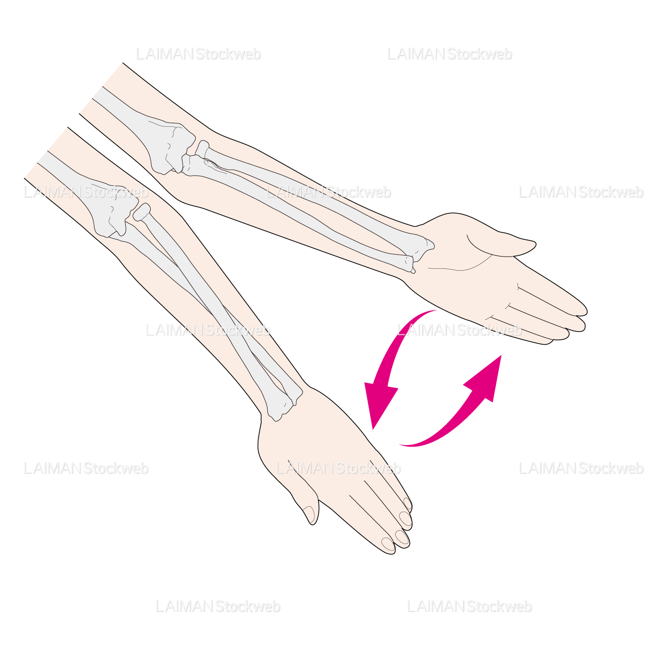 前腕の回外・回内