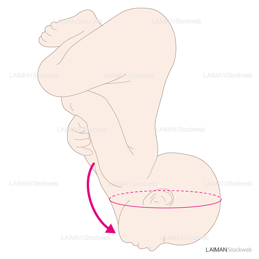 胎勢と通過面（反屈位・顔位）