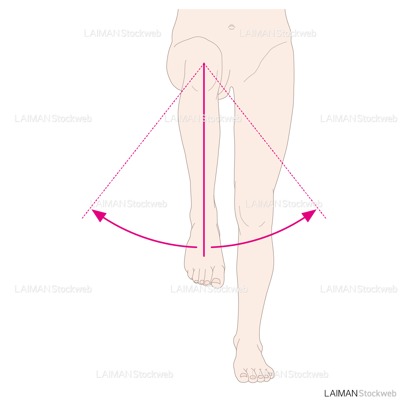 下肢（股）の外旋と内旋