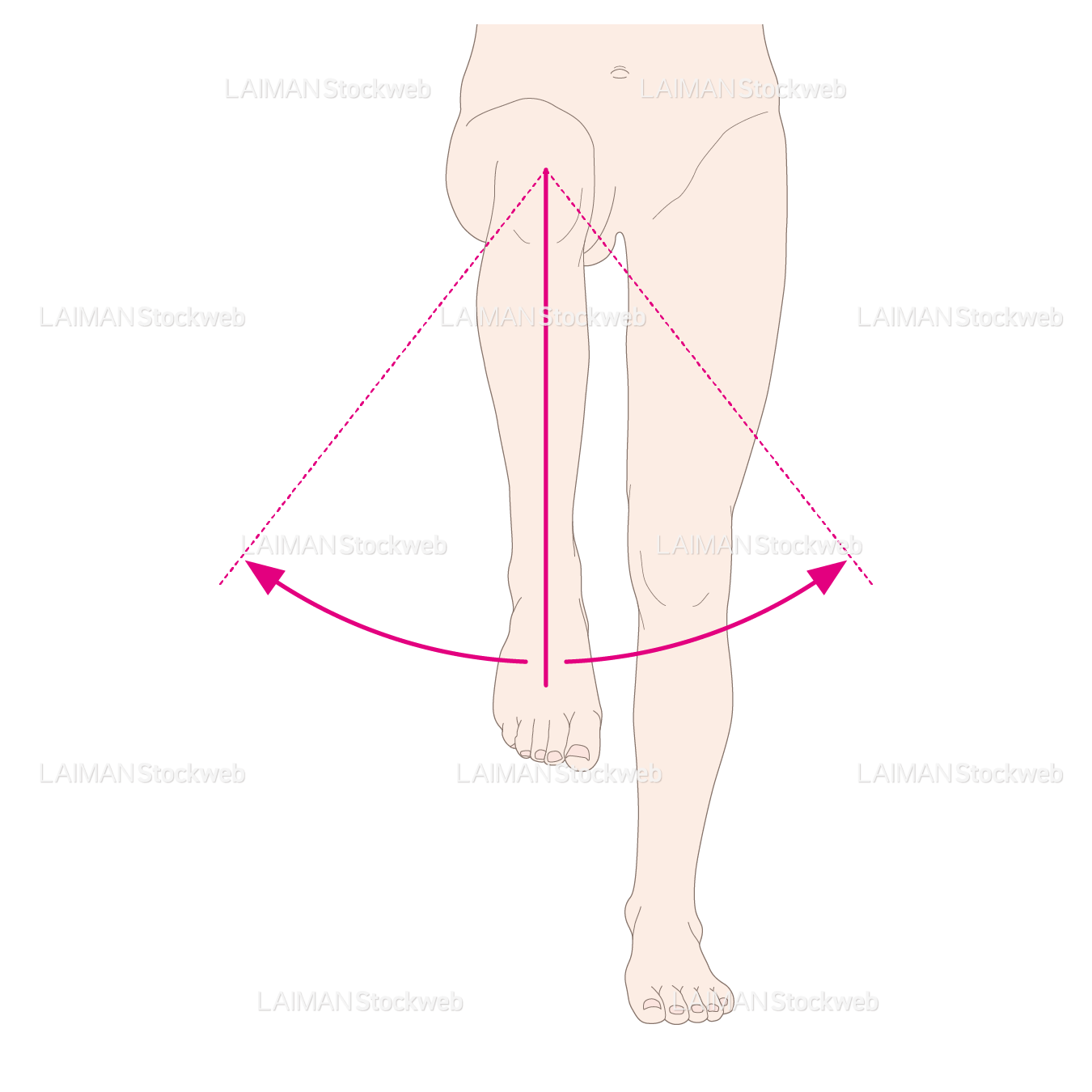 下肢（股）の外旋と内旋
