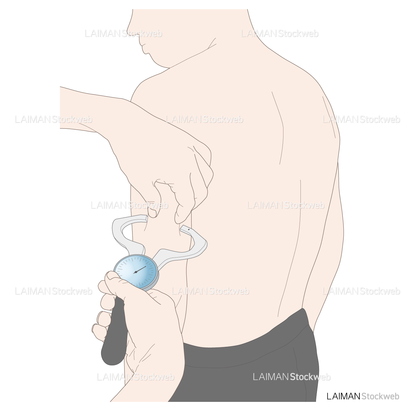 上腕三頭筋部皮下脂肪厚(TSF)の測定