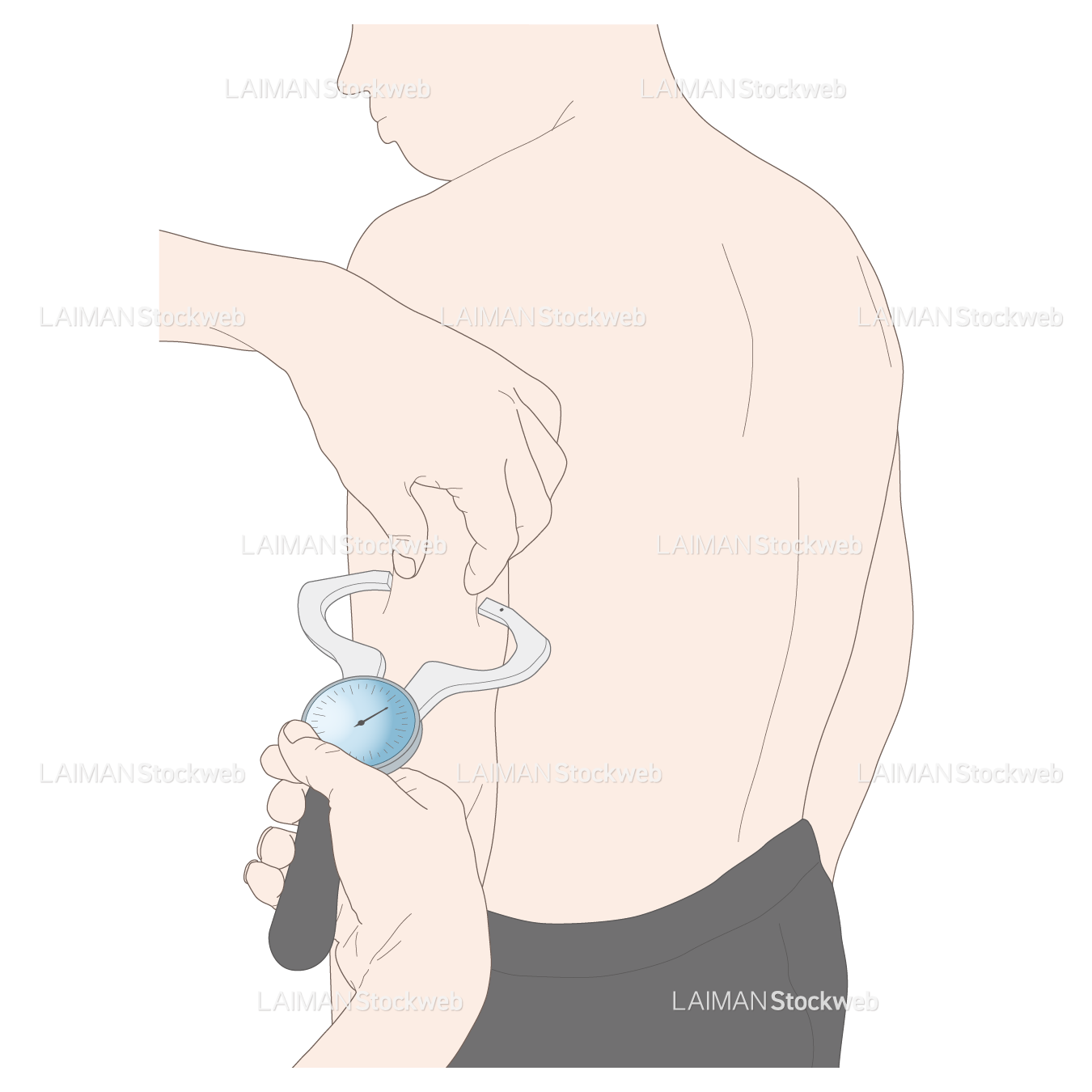 上腕三頭筋部皮下脂肪厚(TSF)の測定