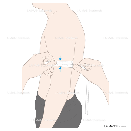 上腕周囲長(AC)の測定