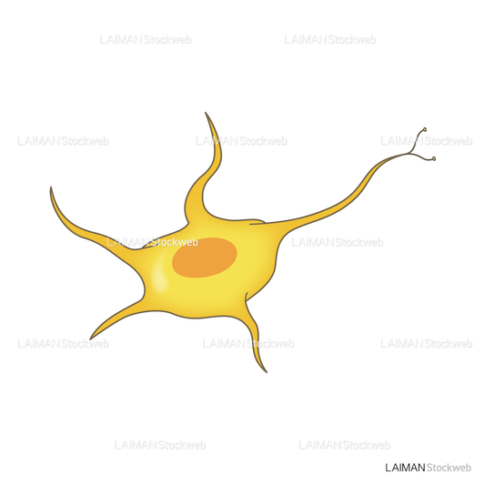 神経細胞